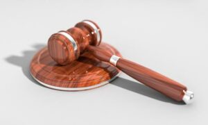 Delhi court grants bail to woman accused in BMW accident