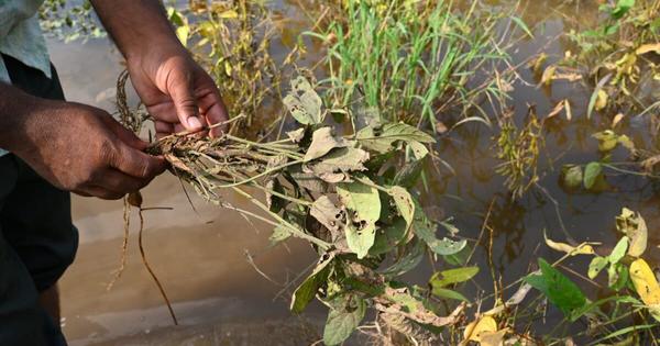Drought prone region now sees floods sweep away crops livelihoods