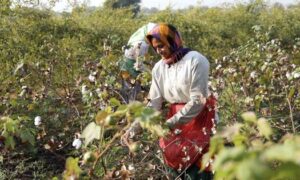 Eco India Episode 303 How regenerative practices can restore and