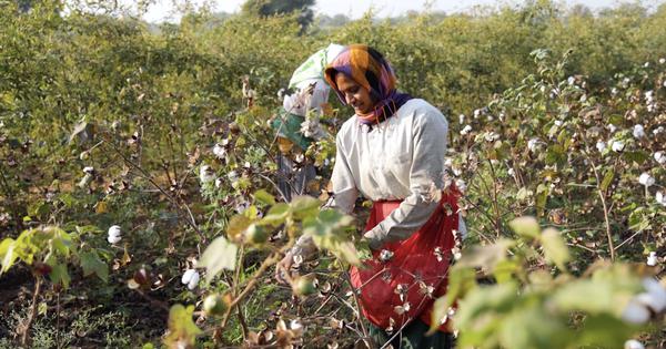 Eco India Episode 303 How regenerative practices can restore and