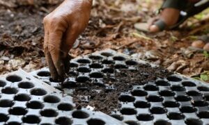 Eco India How soil testing measures can improve degraded lands