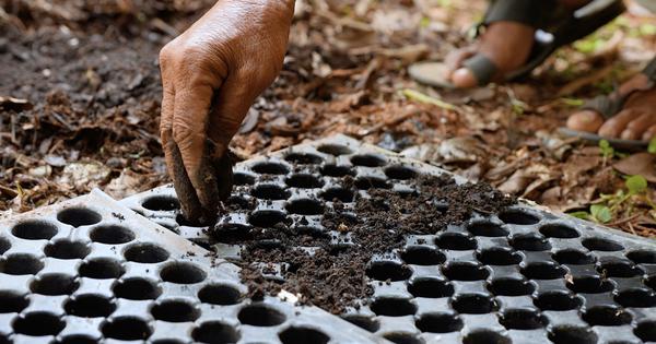 Eco India How soil testing measures can improve degraded lands