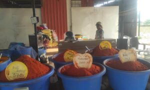 Food safety dept raids spice manufacturing units in Hyderabad