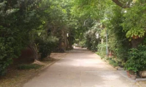 Gurugram co operatives registrar refuses to stay election of management committee.webp