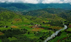 In Keralas Attappadi ecological destruction and land loss has affected