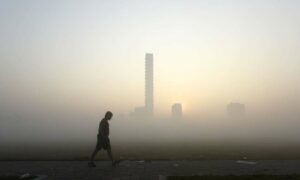 India among top 10 nations with largest forest carbon sinks