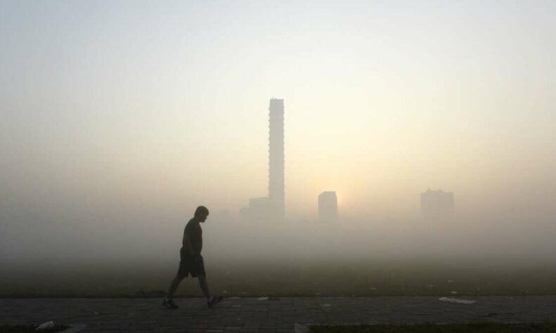 India among top 10 nations with largest forest carbon sinks
