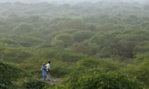 India moves up to ninth place globally in total forest