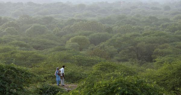 India moves up to ninth place globally in total forest