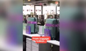 Indian tech companys suitcase full of Deepawali surprise gifts goes viral