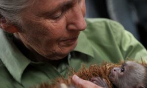 Jane Goodall 1934 2025 The necessity of hope