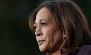 Kamala Harriss memoir reveals her ‘ideal vice president – and