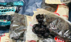 Kerala duo held at Mumbai airport for smuggling cocaine hidden