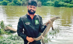 Maharashtra Wife strangles Pune nature activist to death after fight