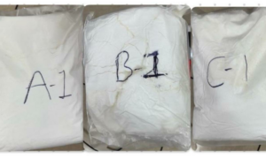 Mumbai Customs seize nearly 3 kg of suspected drugs at