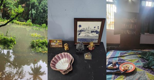 My grandmothers hidden rebellion in reading Taslima Nasrin
