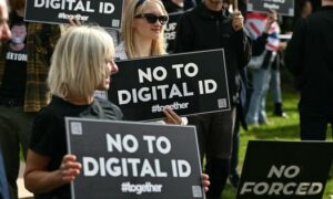 New digital IDs might curb help immigration
