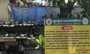 New party to ‘protect kabootarkhanas formed by Jain leaders ahead
