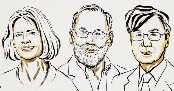 Nobel Prize in Medicine for research into immune systems delicate