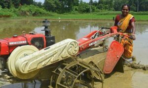 Out in the fields women farmers feel the effects of