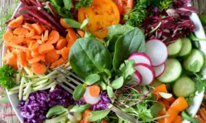 Plant based diet with less meat will be good for humans