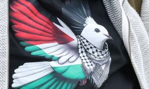 Ramachandra Guha has accepted Israels colonial framing of the Palestine