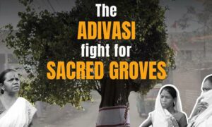 Sacred groves are disappearing in Jharkhand Adivasis are fighting to