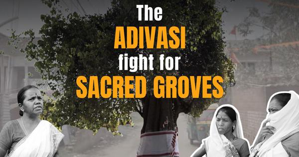 Sacred groves are disappearing in Jharkhand Adivasis are fighting to
