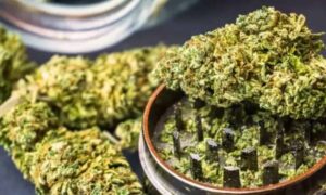 Three held in Bengaluru for possessing over 40 kg of