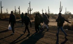 US deports 54 persons from Haryana for entering country via