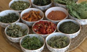 Wild herbs once central to Ladakhs cuisine and life are