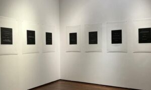 Works by Algerian French artist vandalised at Kochi art gallery after