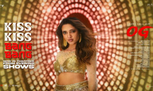 nehashettysongog21759298983