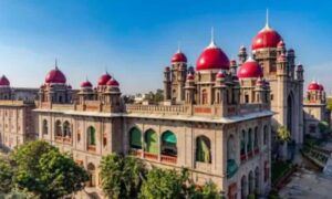 1763110122 Announce local body poll dates by Nov 24 Telangana HC