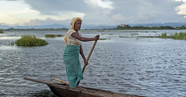 A rare voyage across the cultures and languages of North East