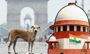 Animal lovers protest against SC order to relocate stray dogs