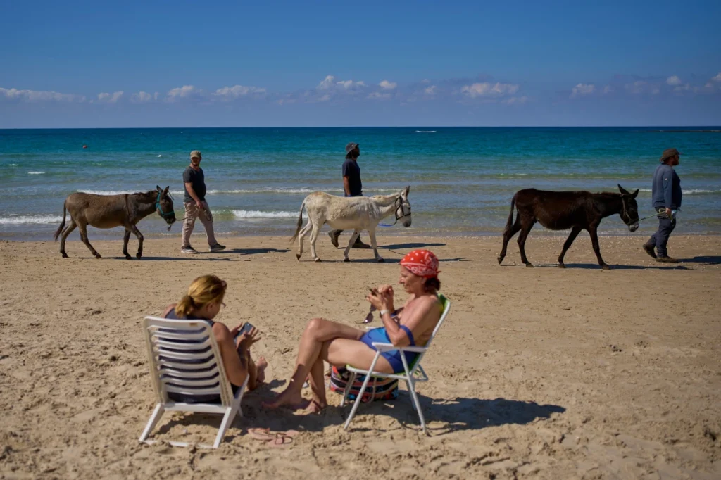Israeli soldiers walk with animals on a beach near a Back2Life rehabilitation farm in central Israel.