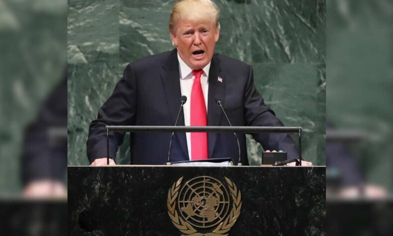 Any Jewish person that votes for Mamdani is a stupid