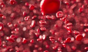 Blood clots are invisible and deadly Indian research aims to