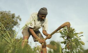 Eco India Episode 304 What drives us to protect the