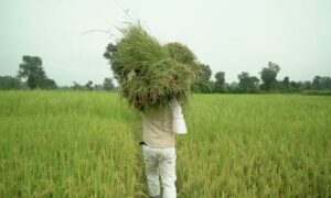 Eco India Episode 305 How can enhanced farming ensure food