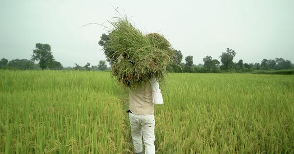 Eco India Episode 305 How can enhanced farming ensure food