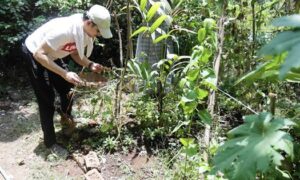 Eco India Episode 306 How farmers are reimagining agriculture for