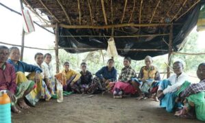 Eco India How Maharashtra039s forestry models are helping make conservation