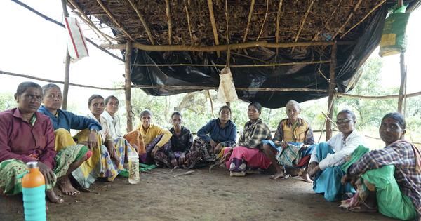 Eco India How Maharashtra039s forestry models are helping make conservation