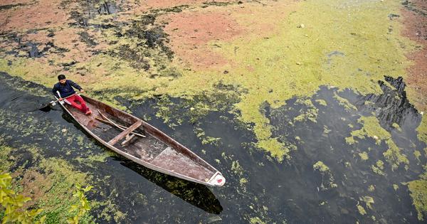 Heavy weather creates pathways for microplastics to pollute Indias lakes