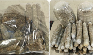 Mumbai Customs seize drugs worth Rs 13 crore USD worth