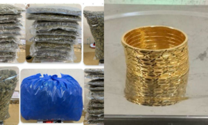 Mumbai Customs seizes over 17 kg of hydroponic weed from