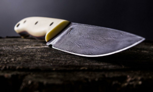 Mumbai Govandis gutka robbery ends with arrest after four day chase