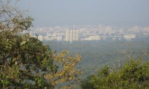 Mumbais last green lung could be carved up under new